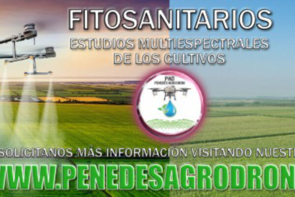 Servicios Fitosanitarios con Dron Agrario y Estudios Multiespectrales de los cultivos